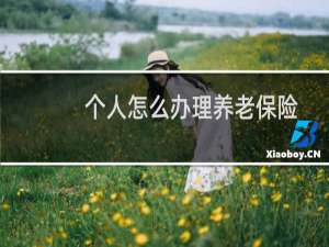 个人怎么办理养老保险