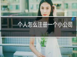 个人怎么注册一个小公司
