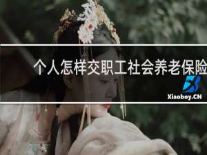 个人怎样交职工社会养老保险