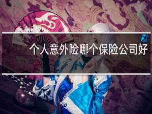 个人意外险哪个保险公司好