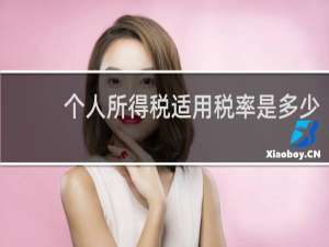 个人所得税适用税率是多少