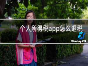 个人所得税app怎么退税 个人所得税app退税方法