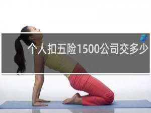 个人扣五险1500公司交多少