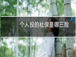 个人投的社保是哪三险