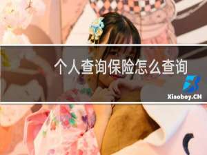 个人查询保险怎么查询
