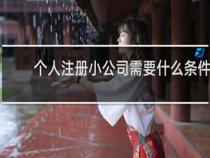 个人注册小公司需要什么条件