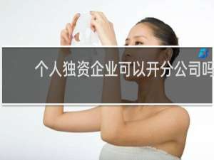 个人独资企业可以开分公司吗