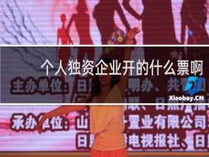 个人独资企业开的什么票啊