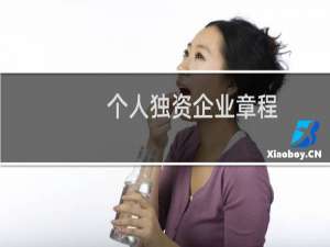 个人独资企业章程