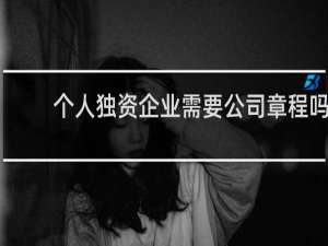 个人独资企业需要公司章程吗