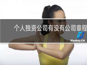 个人独资公司有没有公司章程
