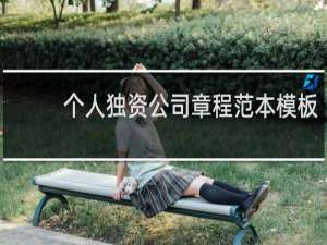 个人独资公司章程范本模板
