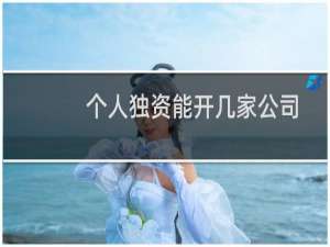 个人独资能开几家公司
