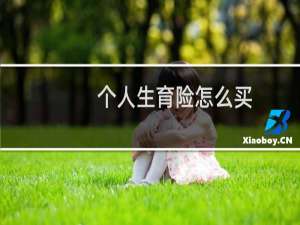 个人生育险怎么买