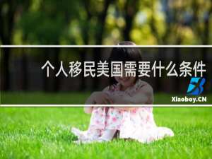 个人移民美国需要什么条件