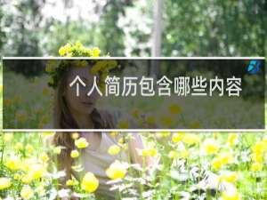 个人简历包含哪些内容