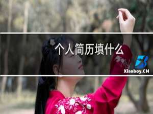 个人简历填什么