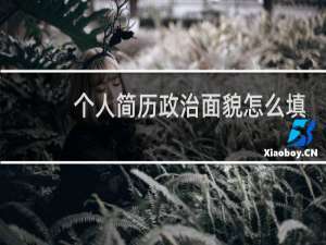 个人简历政治面貌怎么填