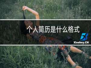 个人简历是什么格式