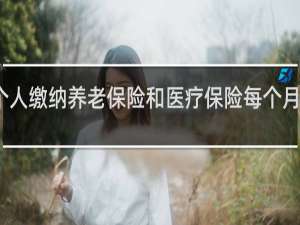 个人缴纳养老保险和医疗保险每个月多少钱
