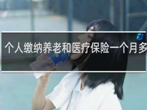个人缴纳养老和医疗保险一个月多少钱