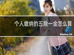 个人缴纳的五险一金怎么算