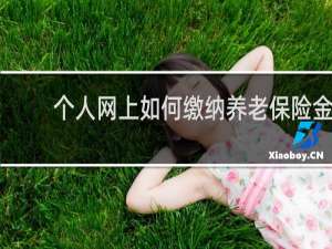 个人网上如何缴纳养老保险金