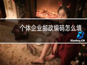 个体企业邮政编码怎么填写
