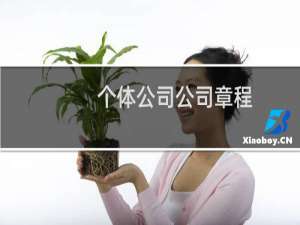 个体公司公司章程
