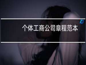个体工商公司章程范本