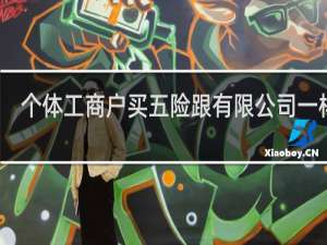 个体工商户买五险跟有限公司一样吗