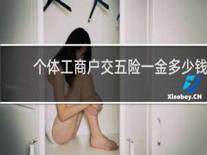 个体工商户交五险一金多少钱