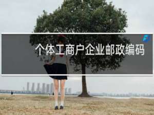 个体工商户企业邮政编码怎么填