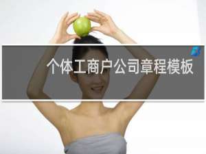 个体工商户公司章程模板
