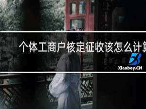 个体工商户核定征收该怎么计算