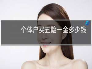 个体户买五险一金多少钱