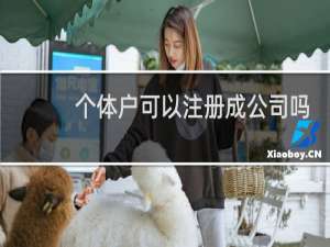 个体户可以注册成公司吗