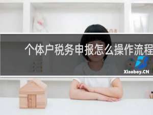 个体户税务申报怎么操作流程
