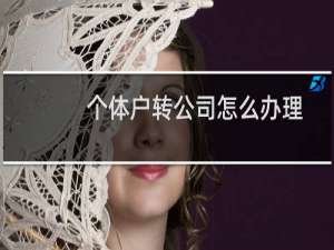 个体户转公司怎么办理