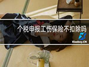 个税申报工伤保险不扣除吗