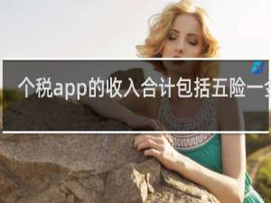 个税app的收入合计包括五险一金吗