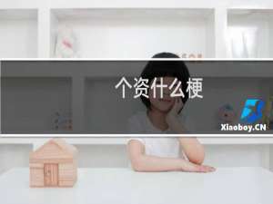 个资什么梗