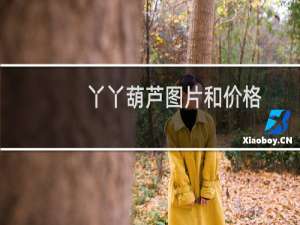丫丫葫芦图片和价格