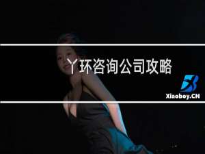 丫环咨询公司攻略