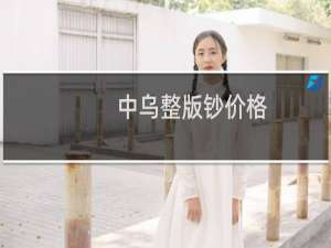 中乌整版钞价格