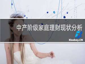 中产阶级家庭理财现状分析
