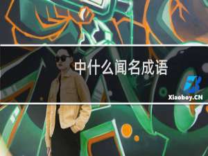 中什么闻名成语