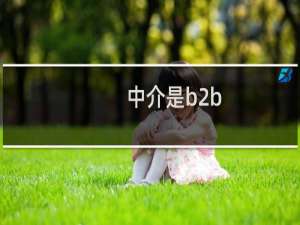 中介是b2b