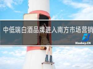 中低端白酒品牌进入南方市场营销策划