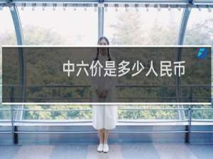 中六价是多少人民币